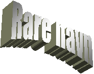 Rare navn